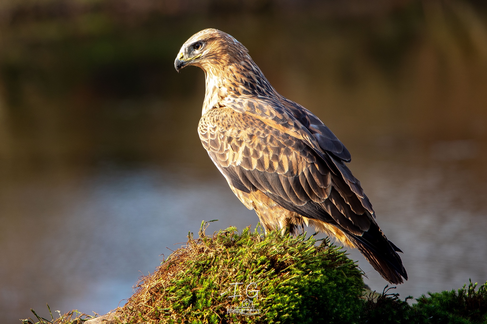 1DX44000 21 november 2021 1349 46